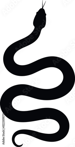 Snake silhouette. Isolated snake on white background