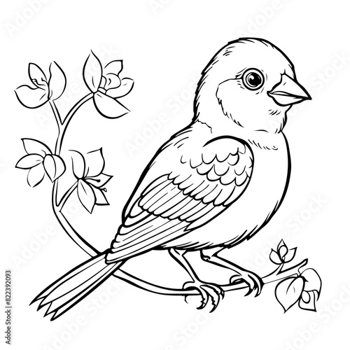 Easy Hand-Drawn Canary Bird Cartoon for kids coloring book