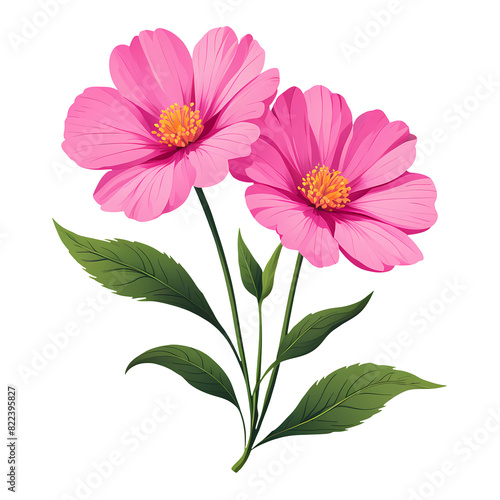 Illustration of Two Pink Cosmos Flowers with Green Leaves  Detailed and Vibrant Floral Design for Nature and Botanical Themes