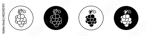 Grape icon set. grapevine fruit plant vector symbol. agriculture berry pictogram in black filled and outlined style. photo