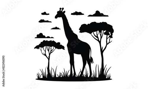 A giraffe standing illustration African nature with a wild giraffe black silhouette of a giraffe.