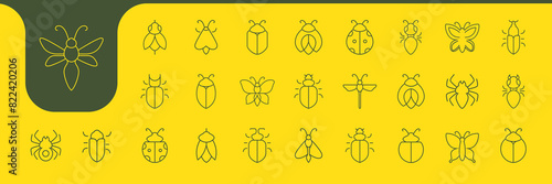 insect kinds line minimal icon vector designs