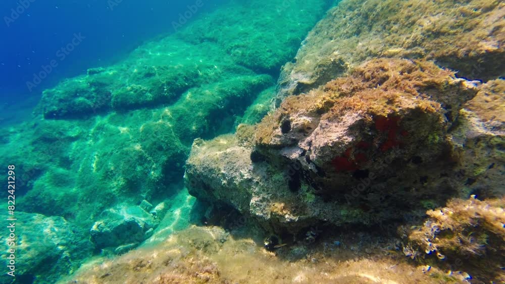 Underwater view to rocky coasts of Adriatic Sea Underwater view to rocky coasts of Adriatic Sea