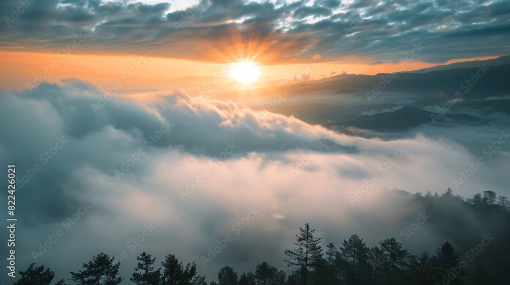 Fototapeta premium Sunrise above the clouds. Stunning sunrise over a sea of clouds with silhouettes of trees in the foreground.