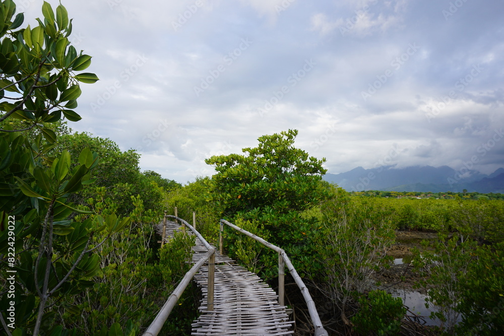 Fototapeta premium Mangrove Pathway with Mountain View