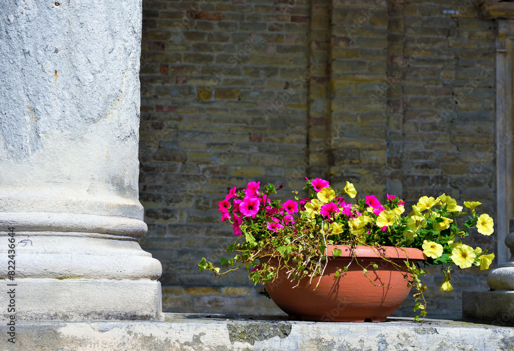 Fototapeta premium the cathedral of Santa Maria Assunta in Romanesque architecture beginning of construction 11th century Acqui Terme alessandria Italy