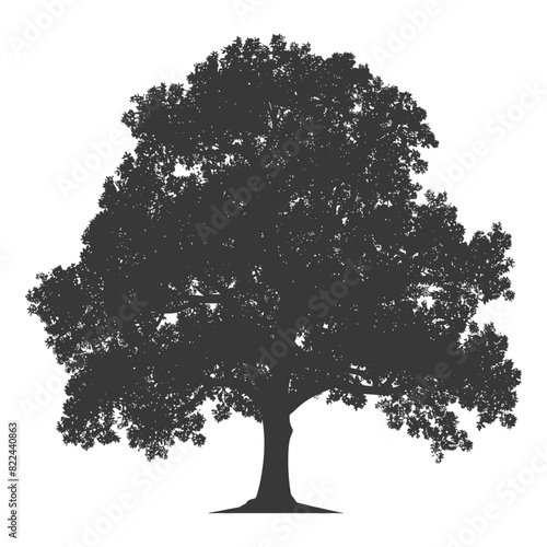 Silhouette oak tree full black color only