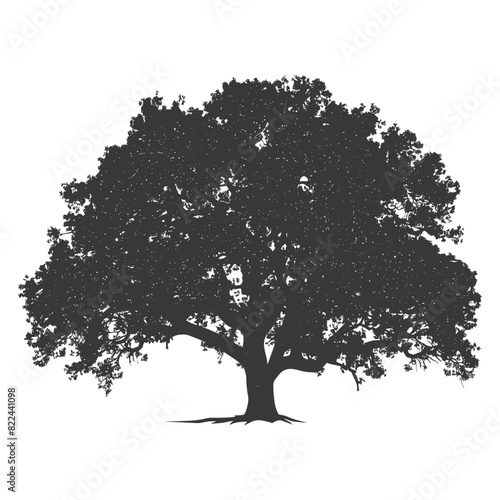 Silhouette oak tree full black color only