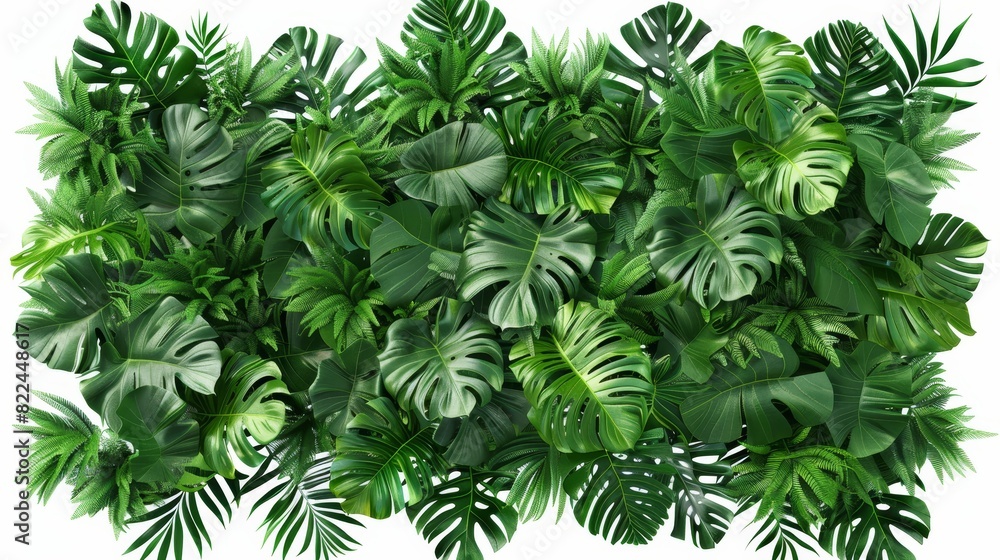 Aerial perspective of Kluay Hak Mook, lush and vivid leaves, white isolated background, meticulously detailed, CG 3D rendering, sharp and lifelike image Aerial perspective of Kluay Hak Mook, lush and vivid leaves, white isolated background, meticulously detailed, CG 3D rendering, sharp and lifelike image