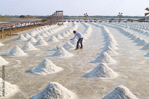 Man in the sprawling salt pan during harvest season, Samut Sakhon province of Thailand