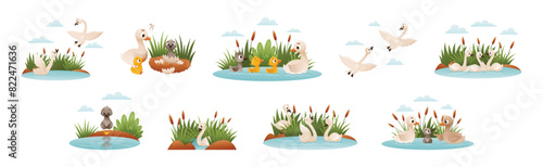 Ugly Duckling Fairy Tale with Little Birdie Vector Set