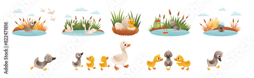 Ugly Duckling Fairy Tale with Little Birdie Vector Set