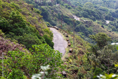 Scenic path along the Eravikulam National Park. Situated in the Kannan Devan Hills. It is located in the Devikulam Taluk of Idukki district in Kerala