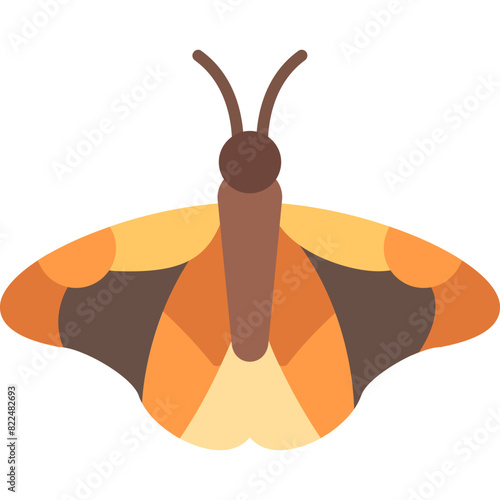 Butterfly Icon