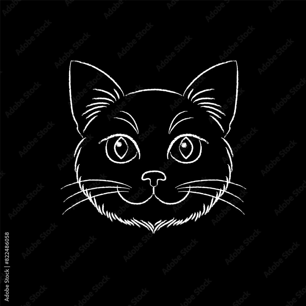 Fototapeta premium A cat's face in a simple style drawn by chalk