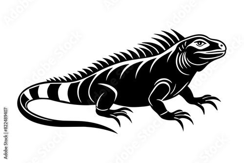 iguana vector silhouette illustration