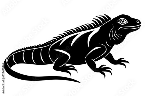 iguana vector silhouette illustration © Shiju Graphics