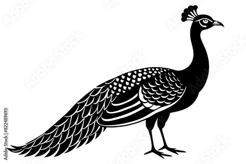 peahen vector silhouette illustration