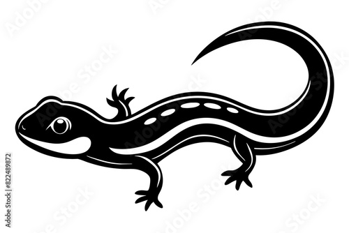  salamander vector silhouette illustration