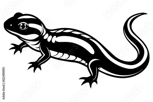  salamander vector silhouette illustration