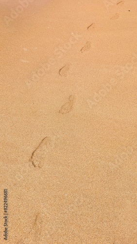  Tranquil beach scene captures footprints in light brown sand vanishing into horizon.