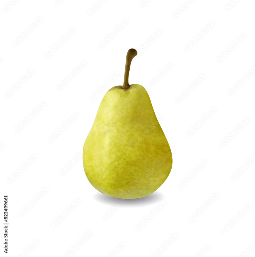 Green pear isolated on white background Vector illustration Green pear isolated on white background Vector illustration