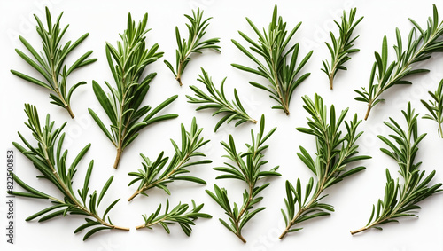 The image shows several sprigs of rosemary  a green herb with needle-like leaves.  