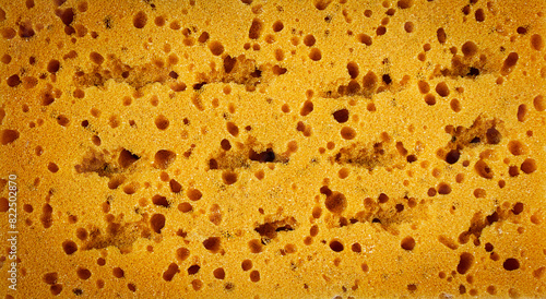 sponge surface , hydroscopic, porous sponge, new, close-up, top view,