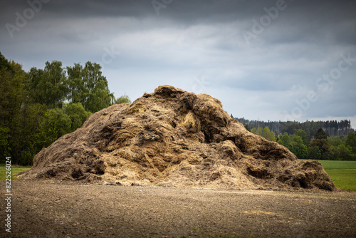 Pile of manure on field - rural scene