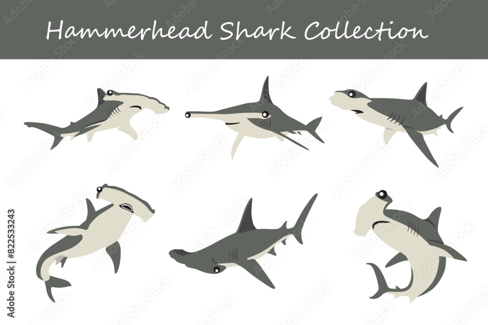 Fototapeta premium hammerhead shark collection. hammerhead shark in different poses. Vector illustration.