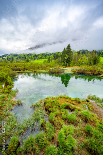 Nature Reserve Zelenci, krajnska gora, Slovenia, Europe. Wonderful morning view of Zelenci nature reserve. Slovenia travel.