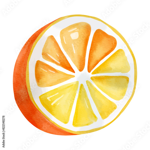 Watercolor orange fruit. Exotic fruit, vector illustration. Summertime element.