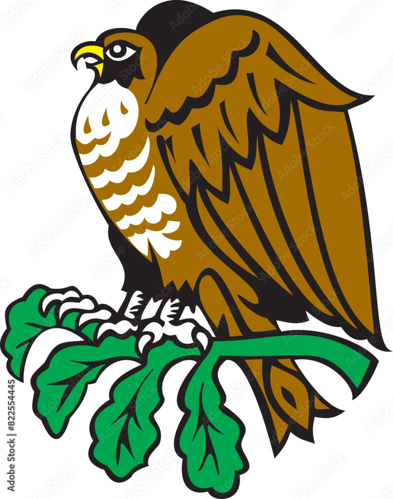 Obraz premium owl in the forest