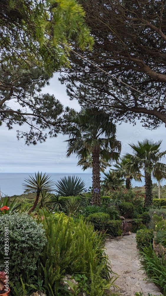 Picturesque coastal garden with lush vegetation and stone path leading to the sea