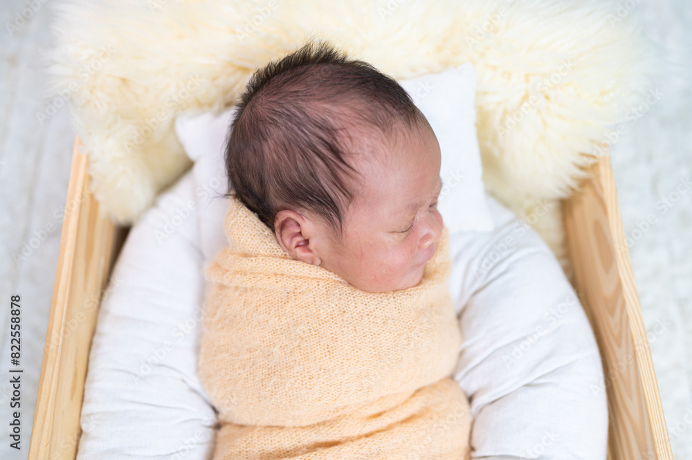 Fototapeta premium Portrait of Newborn baby sleeping