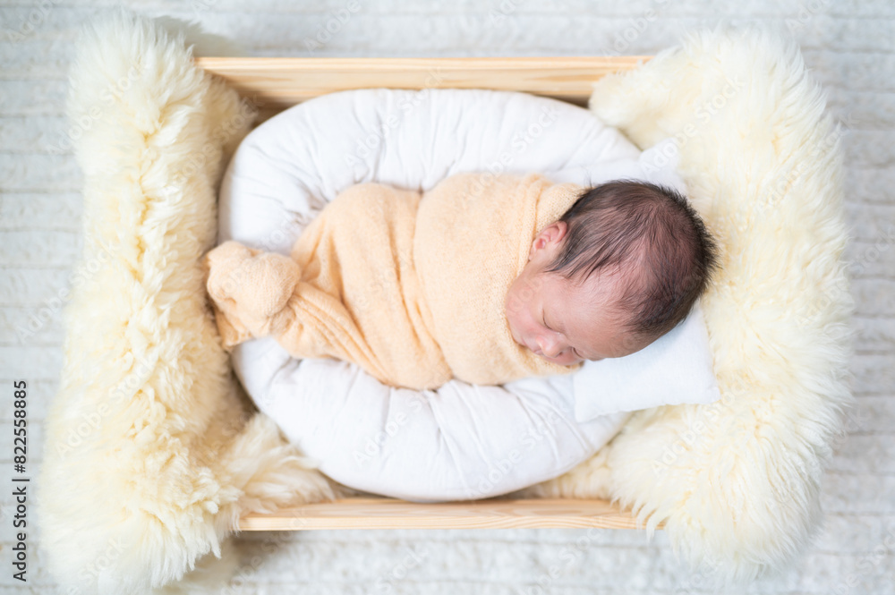 Obraz premium Portrait of Newborn baby in costume sleeping in baby case