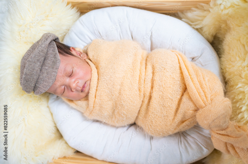 Fototapeta premium Portrait of Newborn baby in costume sleeping in baby case