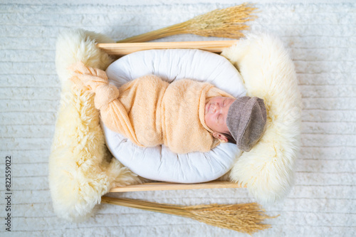 Portrait of Newborn baby in costume sleeping in baby case