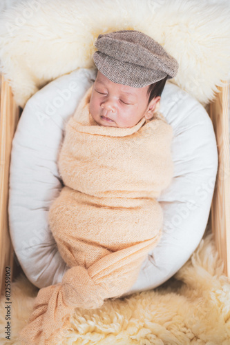 Portrait of Newborn baby in costume sleeping in baby case