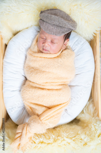 Portrait of Newborn baby in costume sleeping in baby case