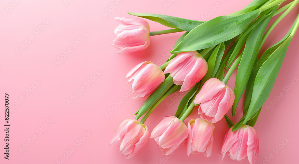 Pink tulips on a delicate pink background.Generative AI