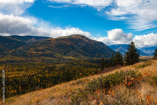 Colourful Canadian Wilderness Scene in Autumn