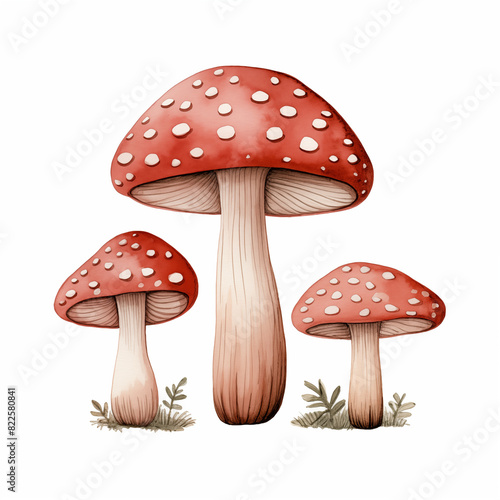 Whimsical Watercolor Mushroom Illustration: Red Toadstools in Forest Setting Cute Cottagecore Fairy Witch Aesthetic