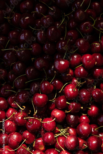 Shot of deep red cherries in partial shadow at a market in Porto, Portugal. 