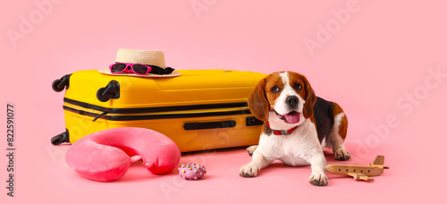 Cute Beagle dog with suitca...
