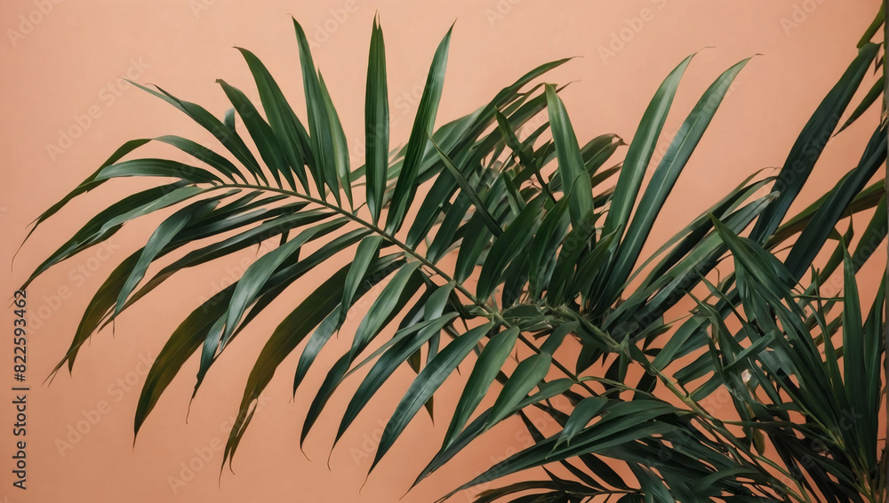 custom made wallpaper toronto digitalPalm leaves on peach background, summer vibes.