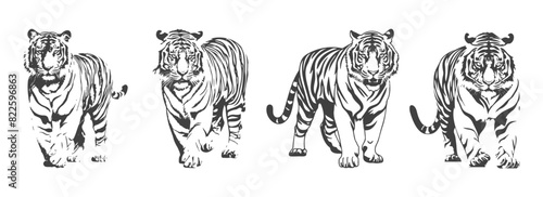set of tiger silhouettes, black and white vector design, generated ai