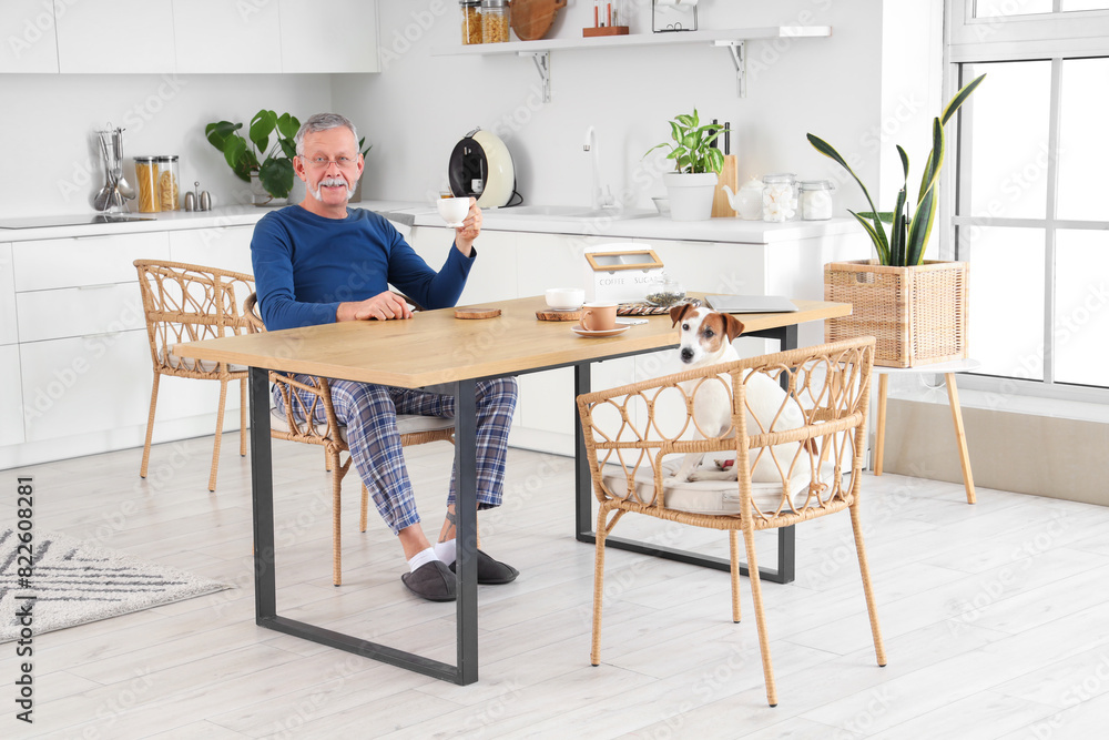 Mature man with cute Jack Russell terrier having breakfast at table in kitchen Mature man with cute Jack Russell terrier having breakfast at table in kitchen