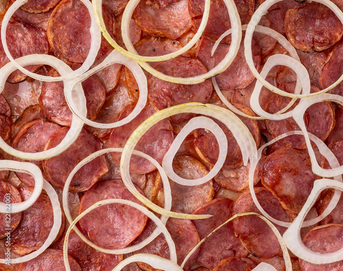 Detail of calabrese sausage and onion pizza.