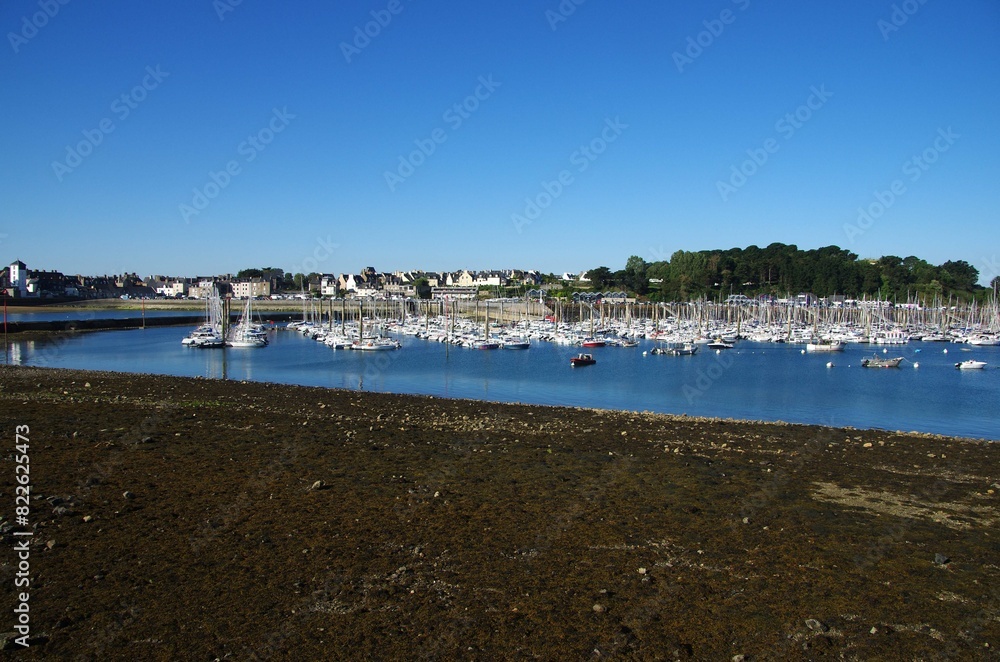 Marina of St Malo at low tide in Brittany in France, Europe